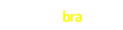 388bra.com